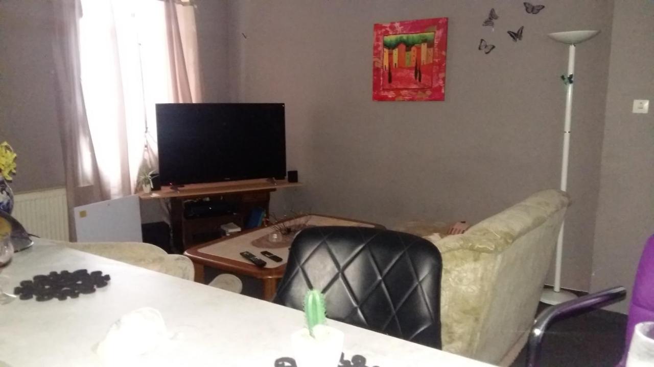 Pension Am Piko-Platz 松讷贝格 外观 照片
